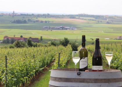 wijn Monteberg Heuvelland