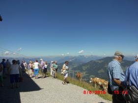 Tirol Wildschonau  augustus 2016