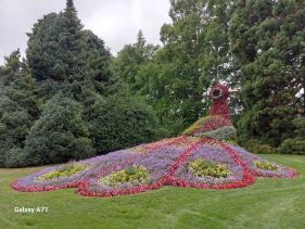 Bodensee : augustus 2024