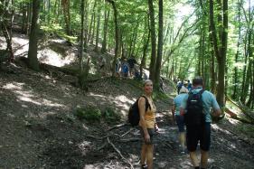 Eifel met natuurvrienden Deinze - 15 juli 2024