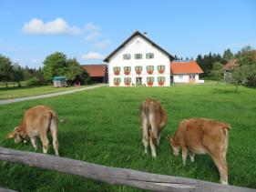 Oberbayern  “In de sporen van Ludwig II” :  augustus 2024