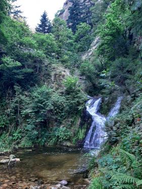 Wandelvakantie Zwarte Woud : augustus 2025