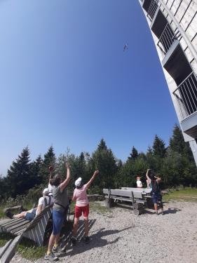 Wandelvakantie Zwarte Woud : augustus 2025