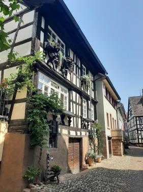 Wandelvakantie Zwarte Woud : augustus 2025