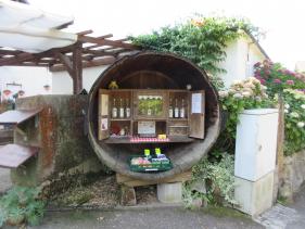 Wandelvakantie Zwarte Woud : augustus 2025