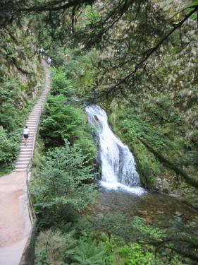 Wandelvakantie Zwarte Woud : augustus 2025