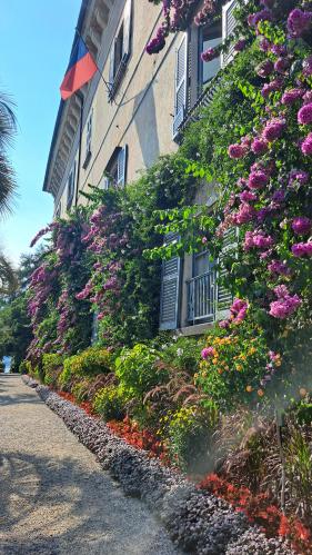 Lago Maggiore: juli 2026