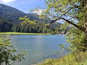 Salzburgerland augustus 2026