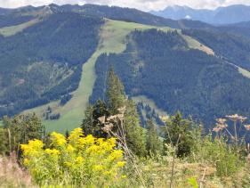 Salzburgerland augustus 2026